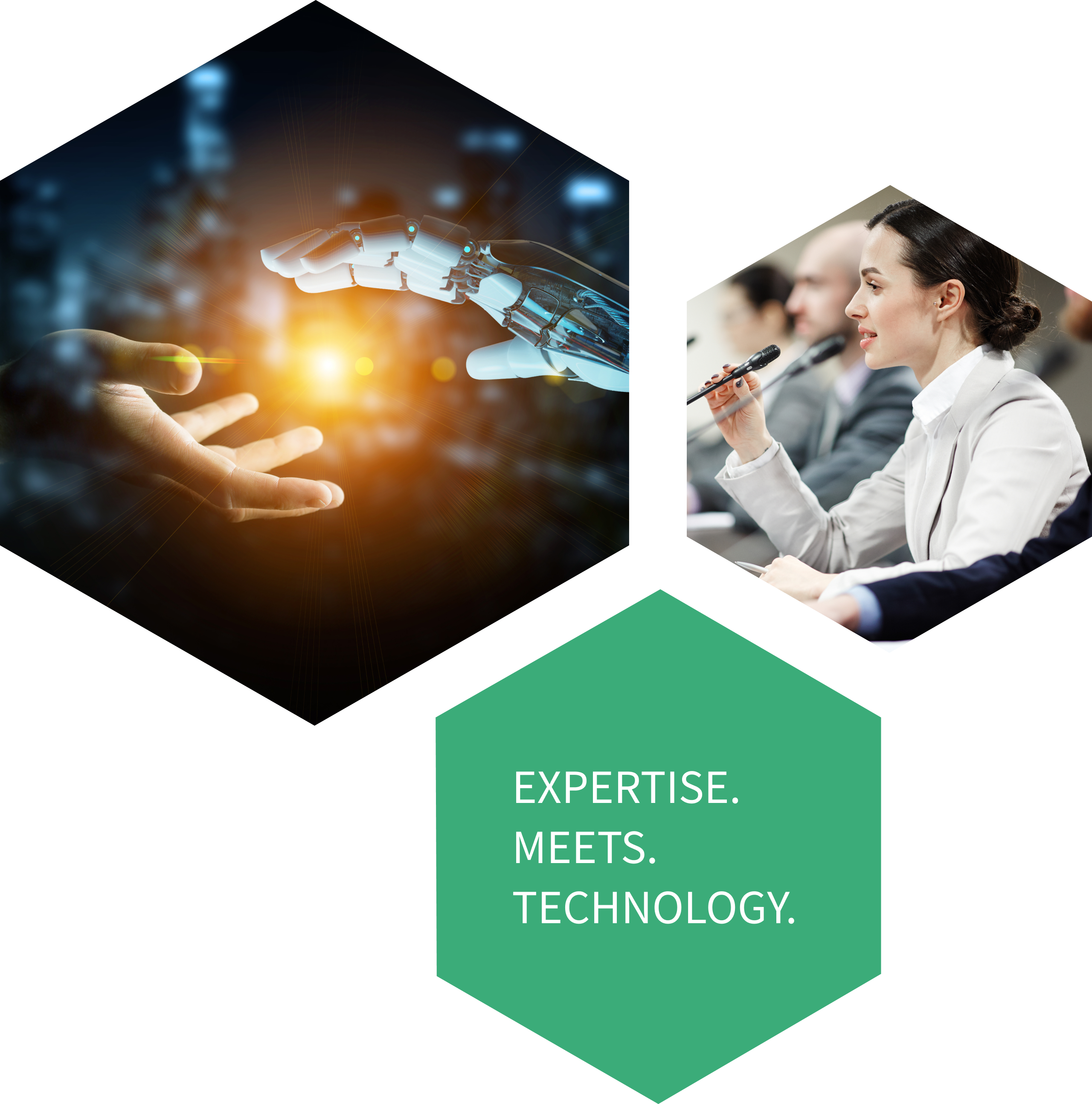 AI Interpreter. Expertise meets technology.